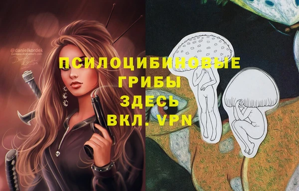 таблы Алексин